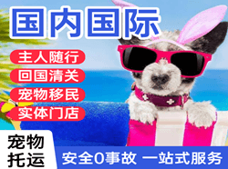若羌楼兰机场货运国际宠物托运 【国